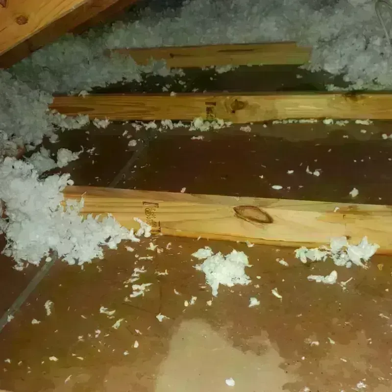 Attic Water Damage in Oak Creek, WI