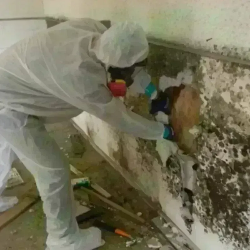 Mold Remediation and Removal in Oak Creek, WI