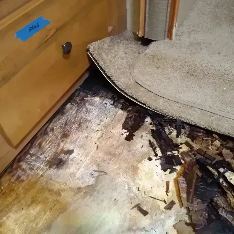 Wood Floor Water Damage in Oak Creek, WI